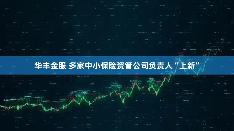 华丰金服 多家中小保险资管公司负责人“上新”