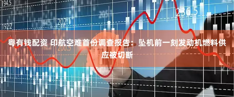 粤有钱配资 印航空难首份调查报告：坠机前一刻发动机燃料供应被切断