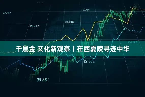 千层金 文化新观察丨在西夏陵寻迹中华