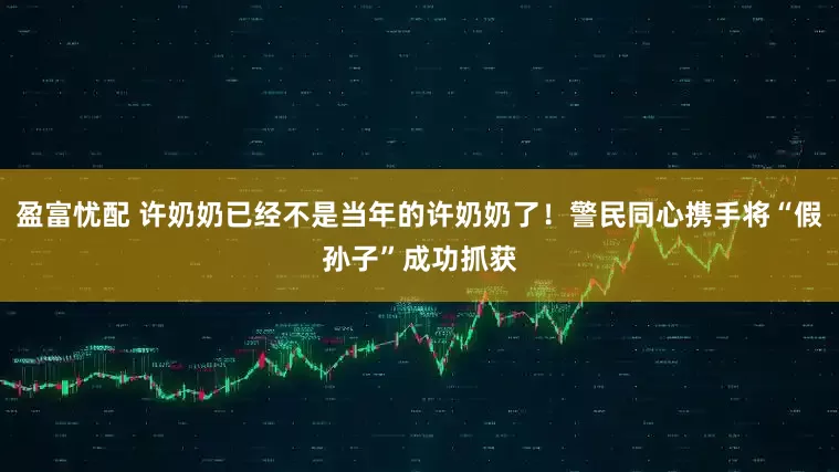 盈富忧配 许奶奶已经不是当年的许奶奶了！警民同心携手将“假孙子”成功抓获