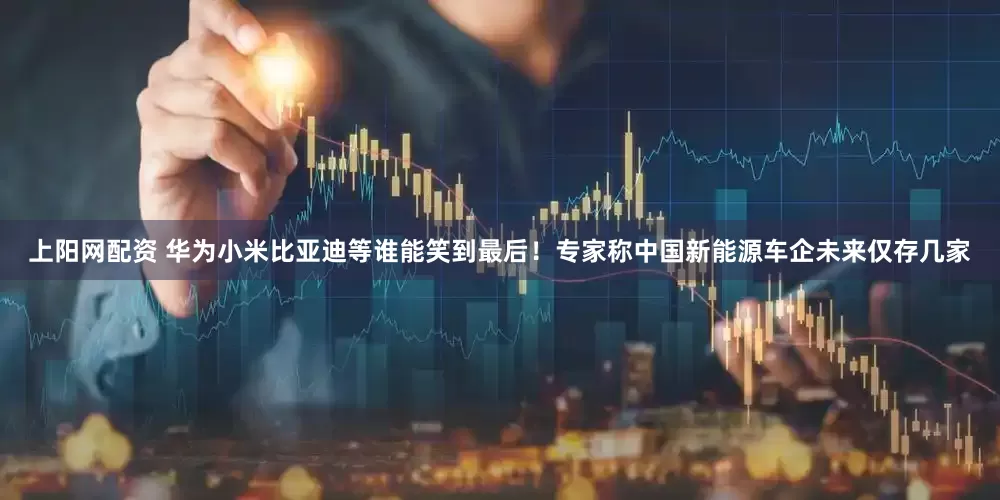 上阳网配资 华为小米比亚迪等谁能笑到最后！专家称中国新能源车企未来仅存几家