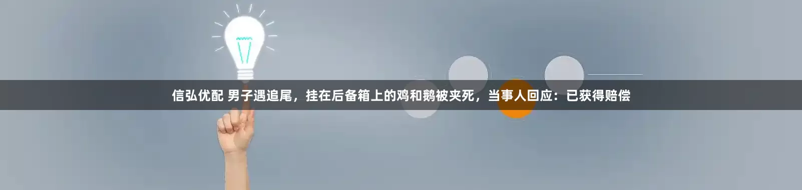 信弘优配 男子遇追尾，挂在后备箱上的鸡和鹅被夹死，当事人回应：已获得赔偿